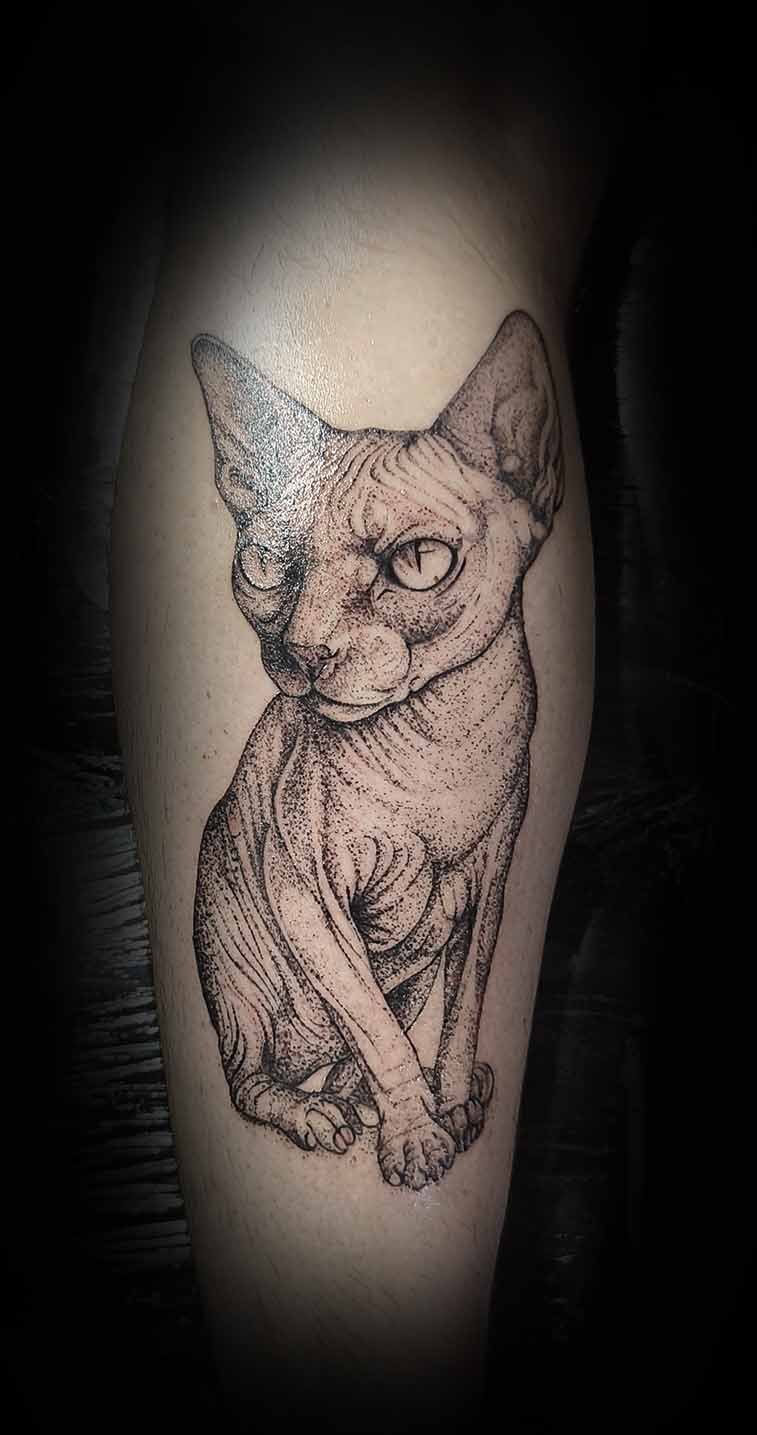 chill ink tatuaz kot sfinks